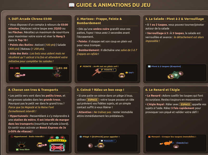Capture documentation dynamique, qui montre les éléments de jeu et les règles