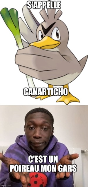 Meme , tu t’appelles Canarticho, mais c’est un poireau que tu portes mon gars
