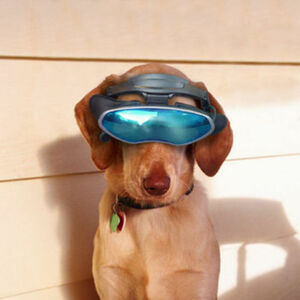 chien avec des lunettes futuriste