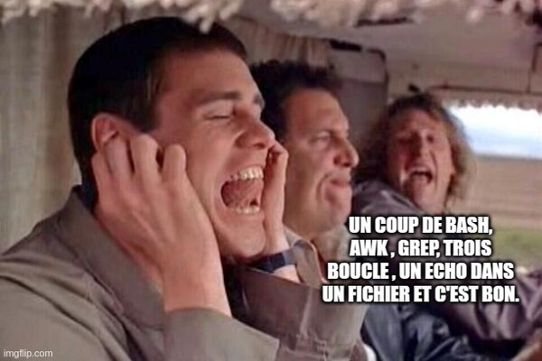 Dumb and Dumber, un coup de bash, awk , grep, trois boucle , un echo dans un fichier et c’est bon.