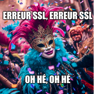 image carnaval, avec comme label, erreur SSL erreur SSL , oh hé oh hé