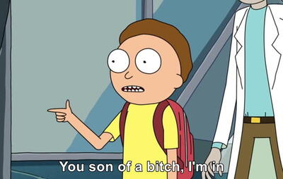 Rick and Morty, You son of a bitch, I’am in