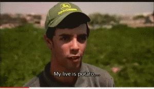 meme, my life is patato