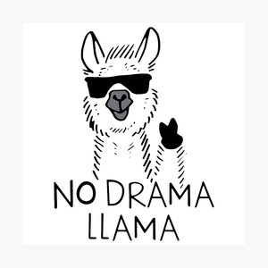 dessin de lama avec des lunettes, no drama lama