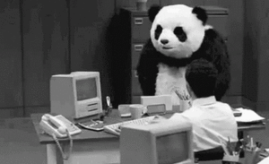 panda énervé renverse la table