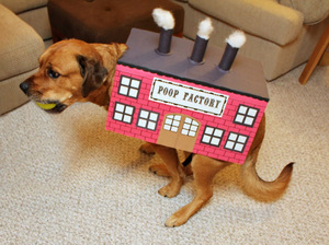 Déguisement de chien en forme d’usine avec le label “poop factory”. 