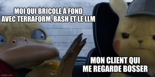 meme Pokémon : Détective Pikachu. À gauche, Psykokwak est dans une voiture, l&rsquo;air concentré et agité : MOI QUI BRICOLE À FOND AVEC TERRAFORM, BASH ET LE LLM, À droite, Détective Pikachu, regardant Psykokwak avec une expression perplexe et sceptique : MON CLIENT QUI ME REGARDE BOSSER.