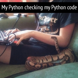 Python (animal) vérifie du code Python