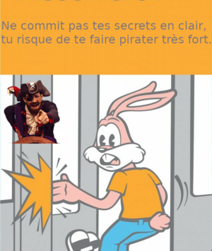 cross over sncf serge le lapin et lazy town you are a pirate, ne commit pas tes secrets en clair, tu risque de te faire pirater très fort