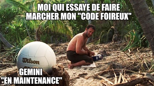meme : Seul au monde avec tom hanks, il essaye de faire du feux en regardant le ballon wilson.Texte sur tom Hanks : MOI QUI ESSAYE DE FAIRE MARCHER MON CODE FOIREUX, Texte sur Wilson : GEMINI EN MAINTENANCE