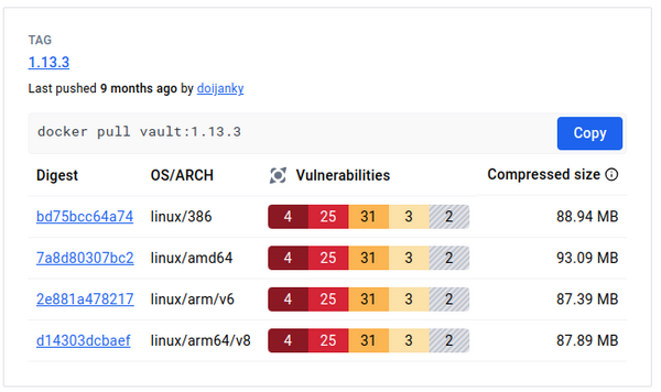 vault:1.13.3 Critical 4, High 25, Medium 31, Low 3, Unspecified 2