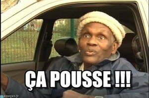 Vega missile, ça pousse (meme)