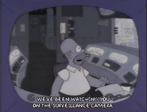 Homer simpsons, We’ve been watching you on the surveillance camera