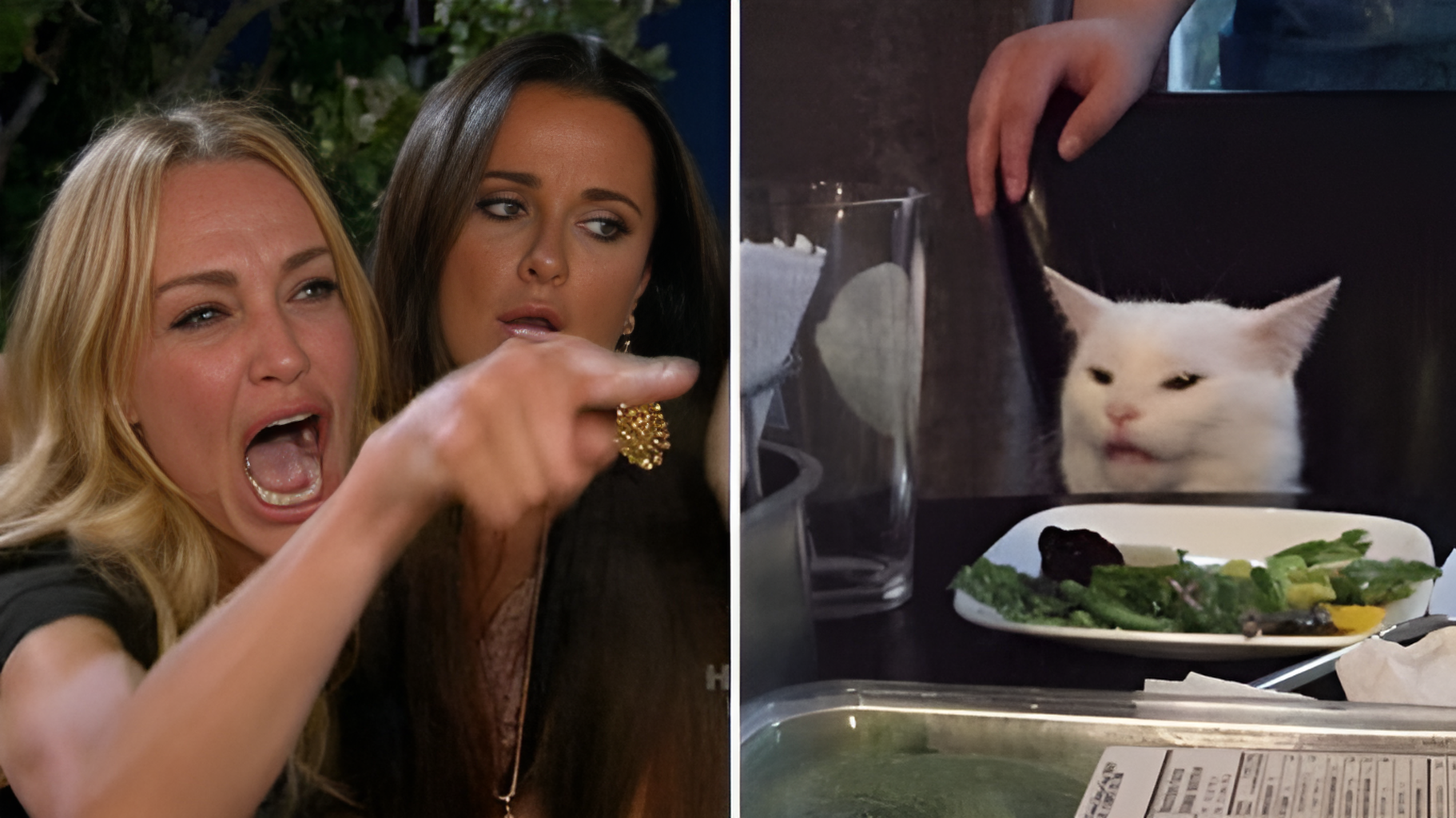 meme , woman yelling at cat, upscale